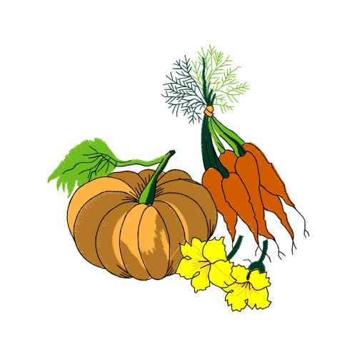 Illustration Flowers Illustration Flowers