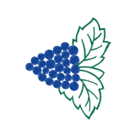 Illustration Flowers