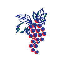 Illustration Flowers