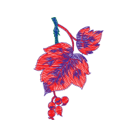 Illustration Flowers