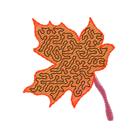 Illustration Flowers