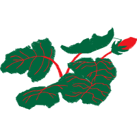 Illustration Flowers Illustration Flowers