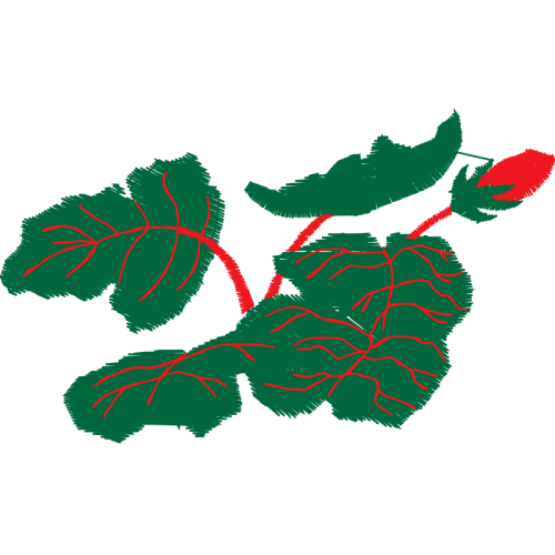 Illustration Flowers Illustration Flowers