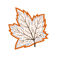 Illustration Flowers Illustration Flowers