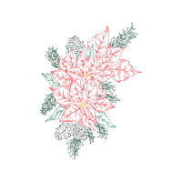 Illustration Flowers