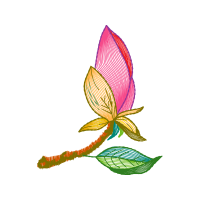 Illustration Flowers