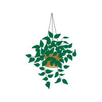 Illustration Flowers