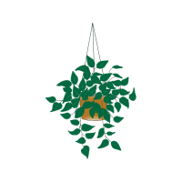 Illustration Flowers