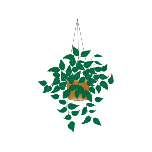 Illustration Flowers Illustration Flowers