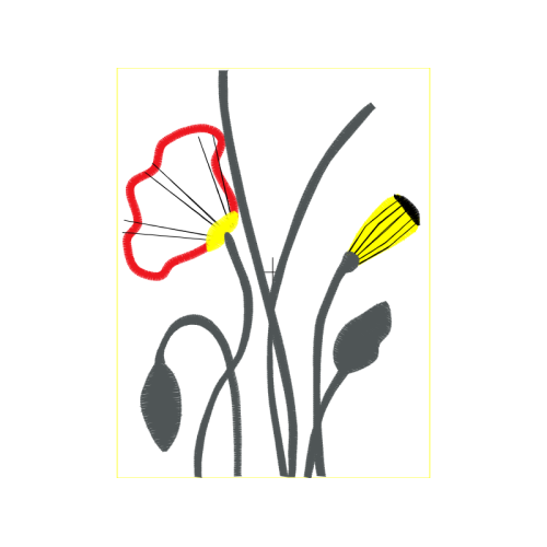 Laceleaf Flowers Laceleaf Flowers