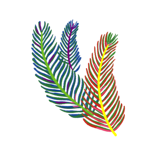 Leaf Flowers Leaf Flowers