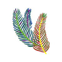 Leaf Flowers Leaf Flowers