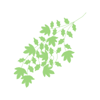 Leaf Flowers Leaf Flowers