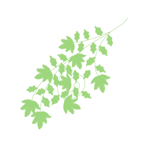 Leaf Flowers Leaf Flowers