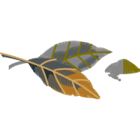 Leaf Flowers Leaf Flowers