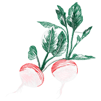 Leaf Vegetable Flowers Leaf Vegetable Flowers