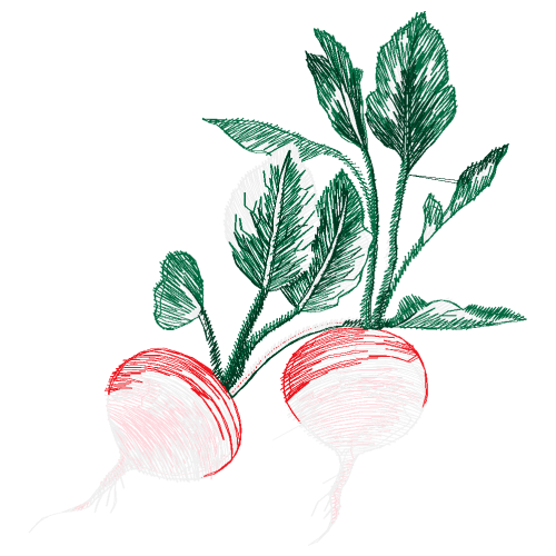 Leaf Vegetable Flowers Leaf Vegetable Flowers