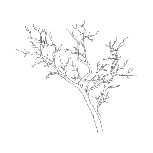 Line Art Flowers Line Art Flowers