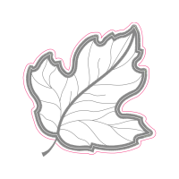 Line Art Flowers Line Art Flowers