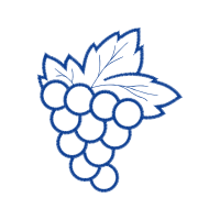 Line Art Flowers Line Art Flowers