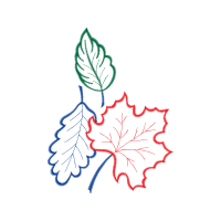 Line Art Flowers Line Art Flowers