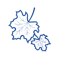 Line Art Flowers Line Art Flowers