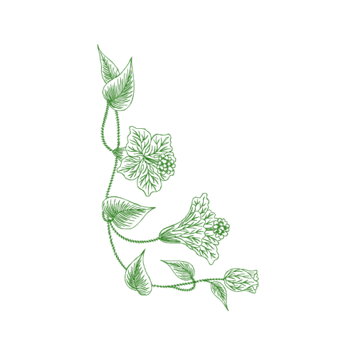 Line Art Flowers Line Art Flowers