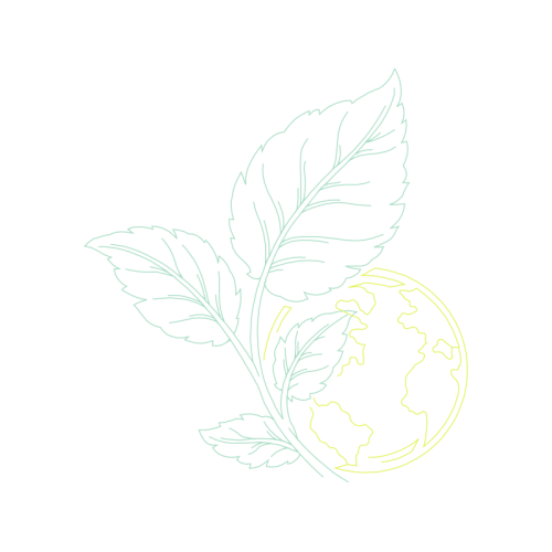 Line Art Flowers Line Art Flowers