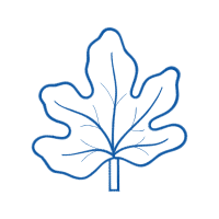 Line Art Flowers Line Art Flowers