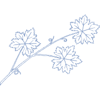 Line Art Flowers Line Art Flowers