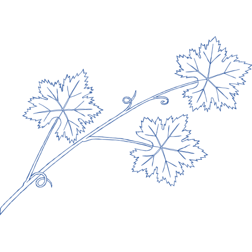 Line Art Flowers Line Art Flowers