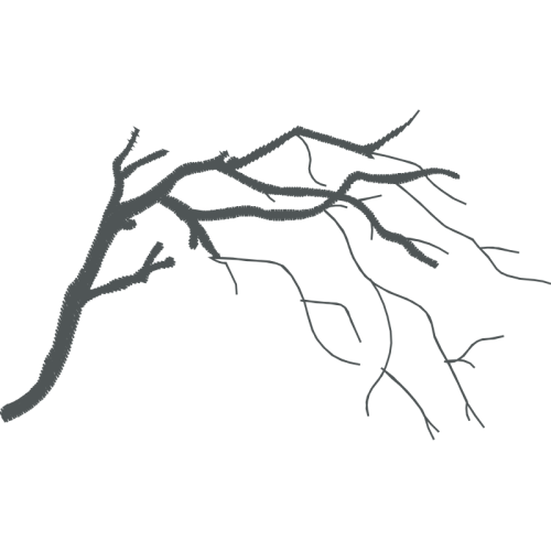 Line Art Flowers Line Art Flowers