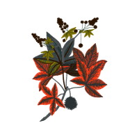 Liveauctioneers Flowers Liveauctioneers Flowers