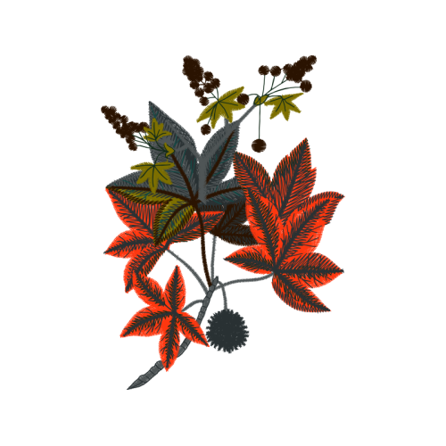 Liveauctioneers Flowers Liveauctioneers Flowers