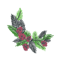 Loblolly Pine Flowers Loblolly Pine Flowers