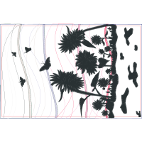 Loblolly Pine Flowers Loblolly Pine Flowers