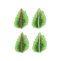 Longleaf Pine Flowers