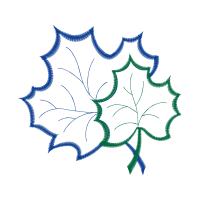 M 02Csf Flowers M 02Csf Flowers