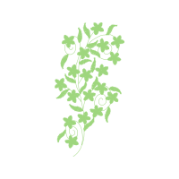 M 02Csf Flowers M 02Csf Flowers