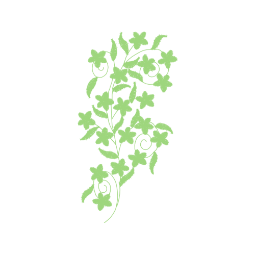 M 02Csf Flowers M 02Csf Flowers