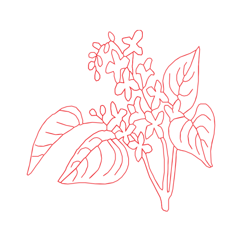 M 02Csf Flowers M 02Csf Flowers