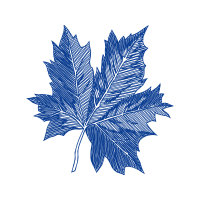 Maple Leaf Flowers Maple Leaf Flowers