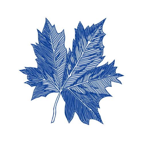 Maple Leaf Flowers Maple Leaf Flowers