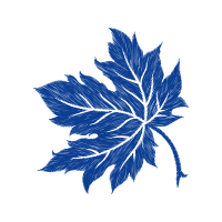 Maple Leaf Flowers Maple Leaf Flowers