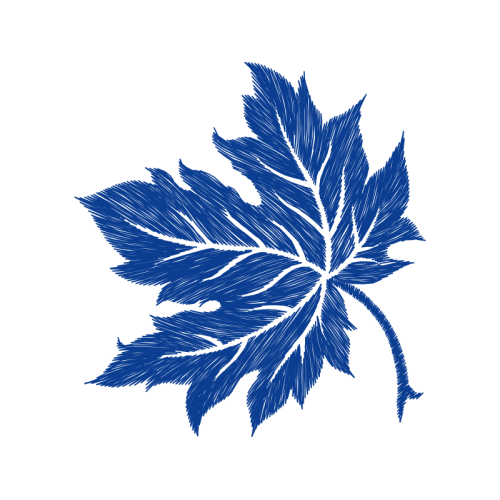 Maple Leaf Flowers Maple Leaf Flowers