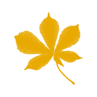 Maple Leaf Flowers Maple Leaf Flowers