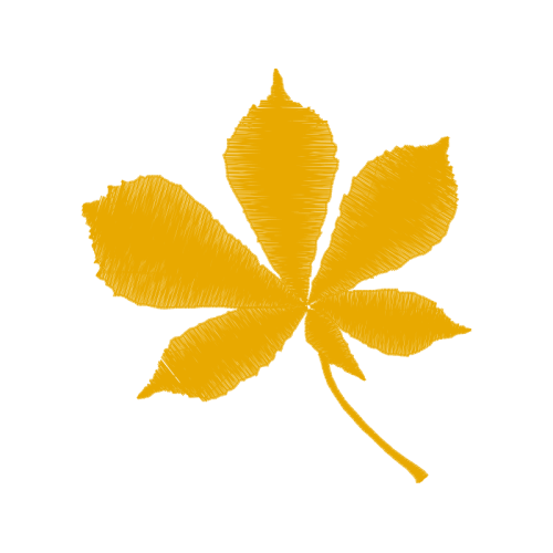 Maple Leaf Flowers Maple Leaf Flowers