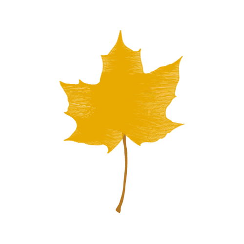 Maple Leaf Flowers Maple Leaf Flowers