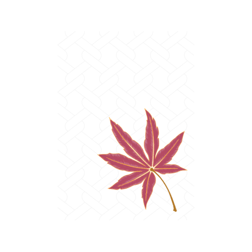 Maple Leaf Flowers Maple Leaf Flowers