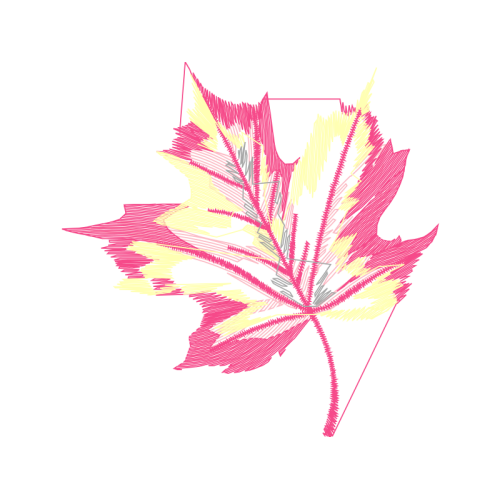 Maple Leaf Flowers Maple Leaf Flowers